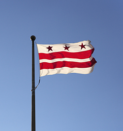 DC - State Flag